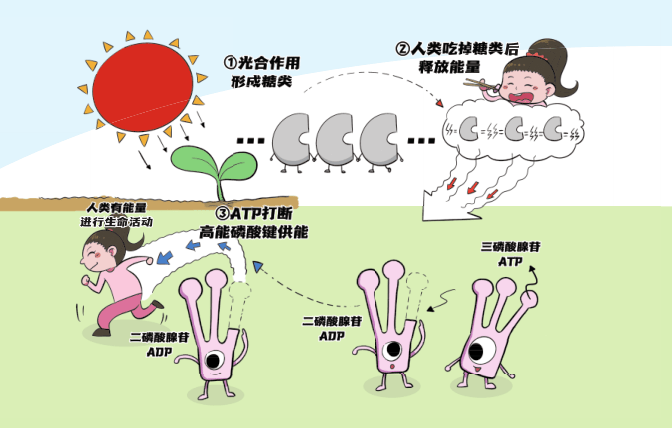 万物有化学系列：从未知到喜欢，破解万物的化学密码