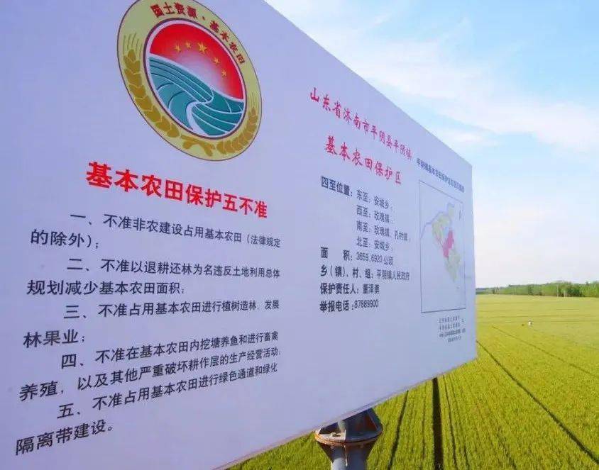 永久基本农田能干什么不能干什么这些红线碰不得