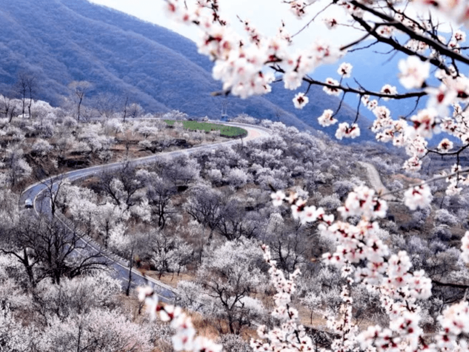 房山桃花谷图片