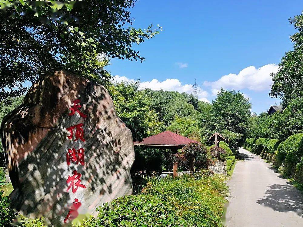 植树节天顶湖生态农庄亲子休闲游活动招募中