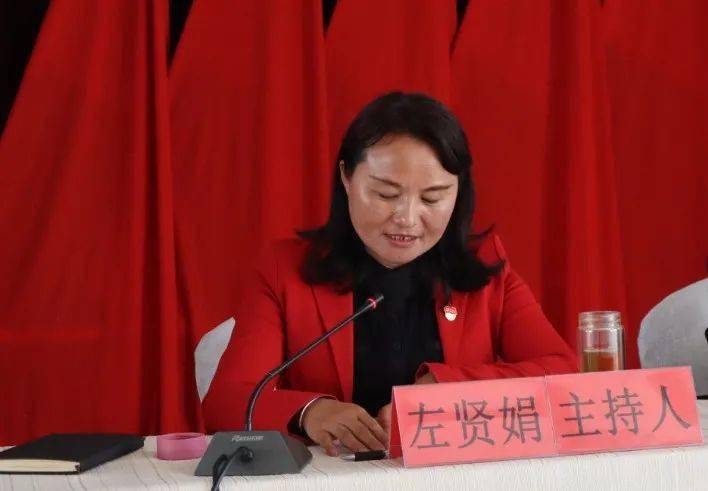 县人民政府副县长,县政府妇女儿童工作委员会主任童莹莹参加会议并