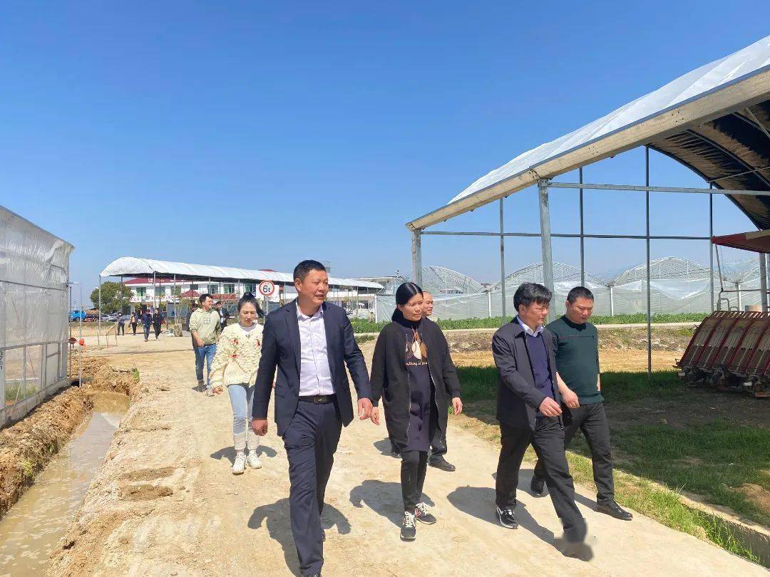 领导调研姚圩文旅项目走了这些地方