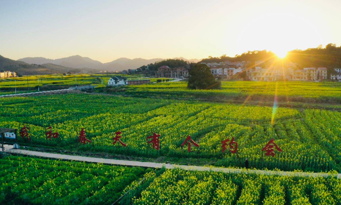 近日,潇湘晨报记者提前探访了本届湖南油菜花节分会场之一的茶陵秩堂