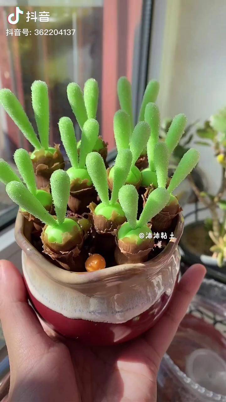 粘土多肉粘土碧光环兔耳朵多肉