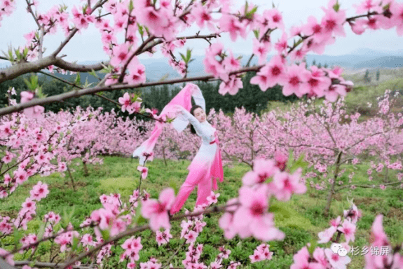 不惜漫天锦绣铺 在黔东南的初春尽览万紫千红 油菜花 地址 线路