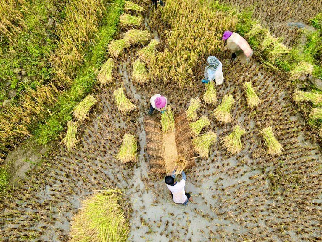 是农业发展观的一场深刻革命,是贯彻新发展理念,加快云南农业现代化