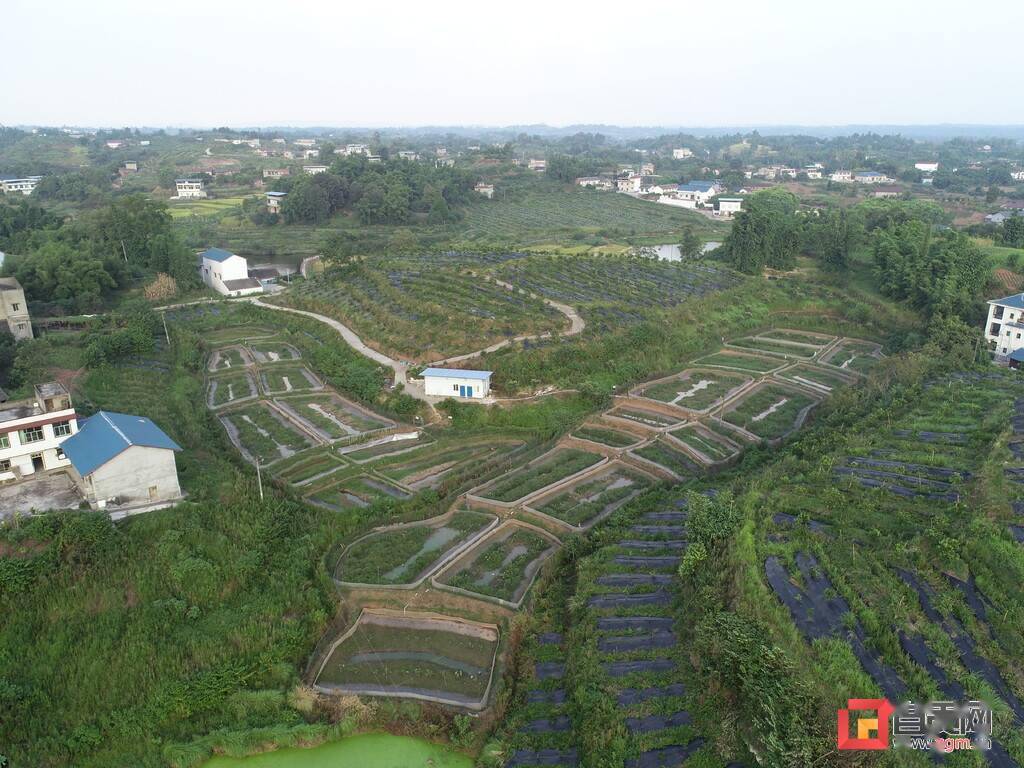 从落后村到乡村振兴示范村的蜕变走进富顺县骑龙镇大田村