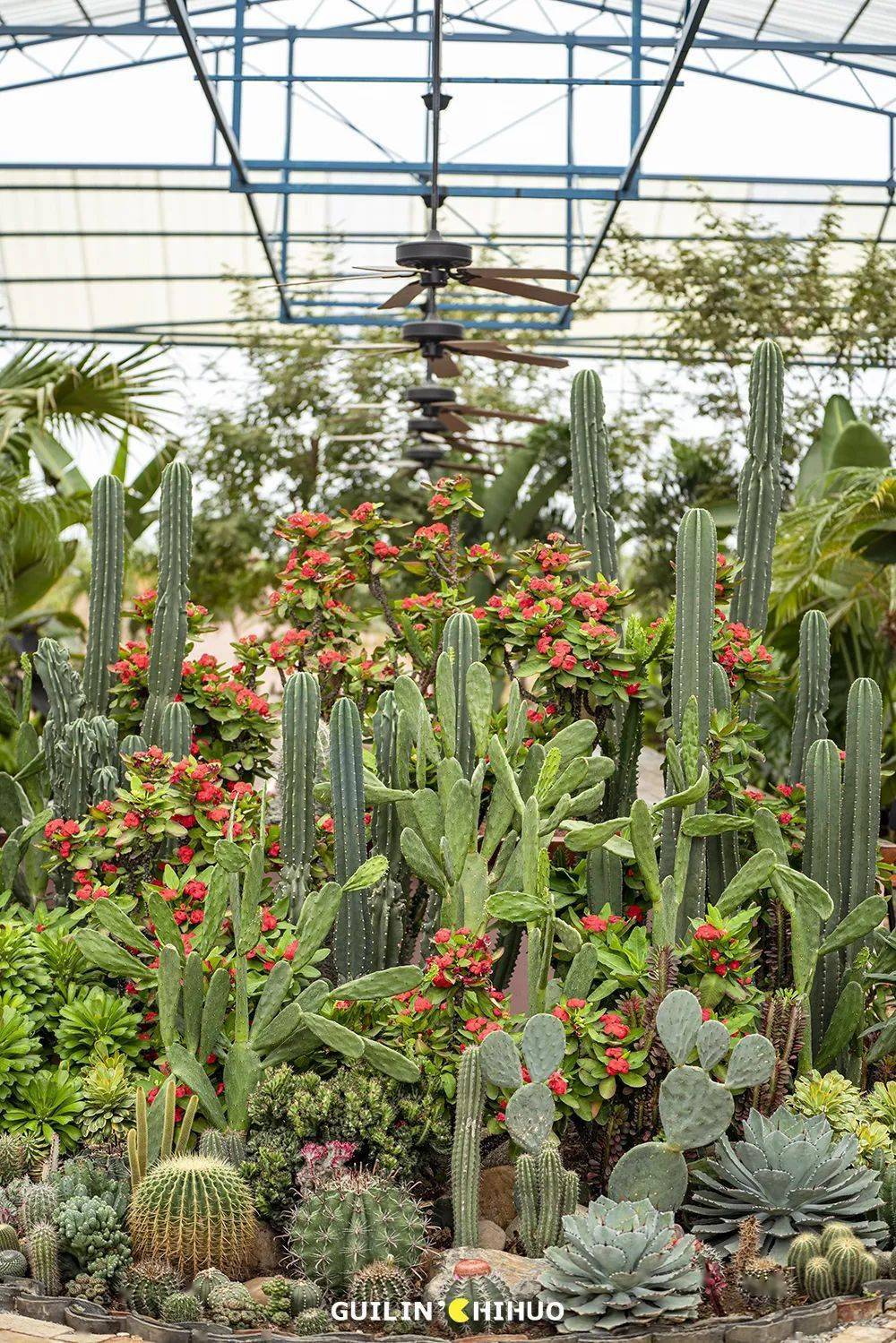 小勺严选周末踏青好去处159元享红顶花园23人精美下午茶套餐7大主题