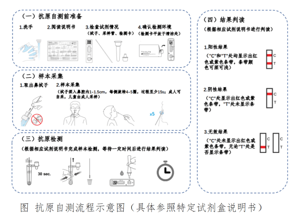 方案|新冠病毒抗原自测咋操作？擤去鼻涕，拭子深入鼻孔贴鼻腔转4圈以上