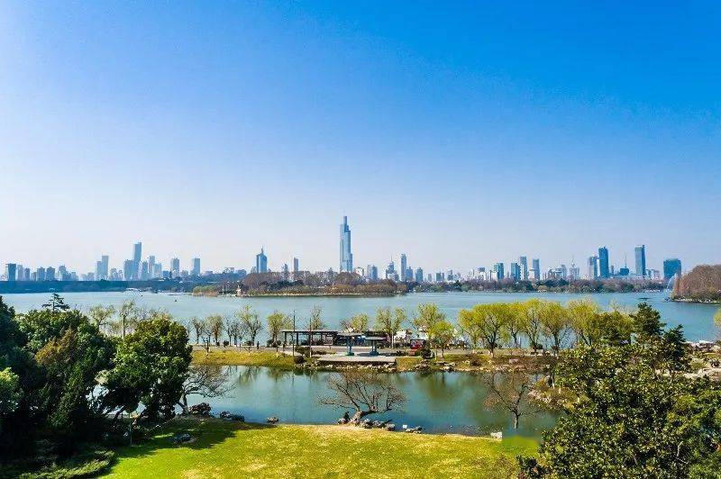 玄武湖春天美的不仅有百花 还有它 金陵 太平 文伯仁