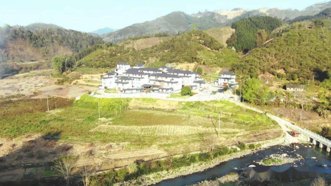 春耕进行时新化镇春意漫漫耕耘不殆