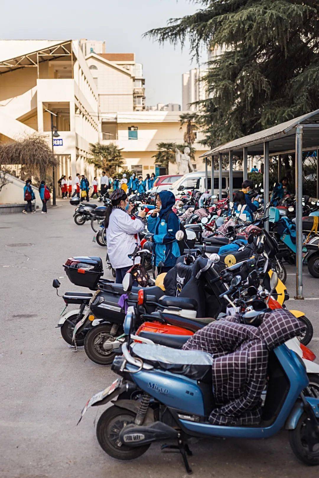 春天回到凤凰西街