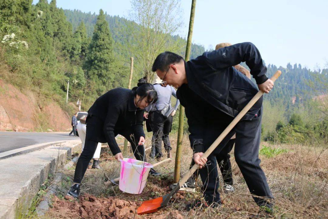 忠縣交通局:植樹正當時 公路添新綠_活動_胡裡河_白石鎮