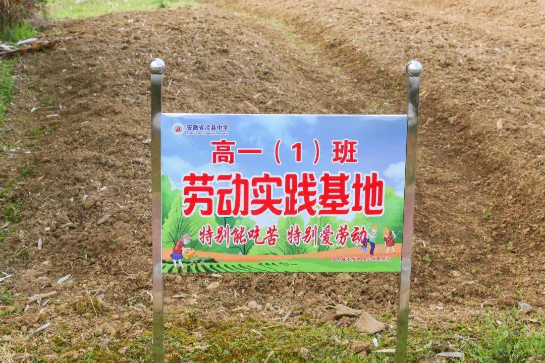 每班一块地泾县中学学生劳动实践基地今日揭牌