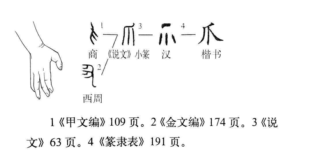 这是中华书局注音版《说文解字》标注的读音,给出的解释是:爪,丮也