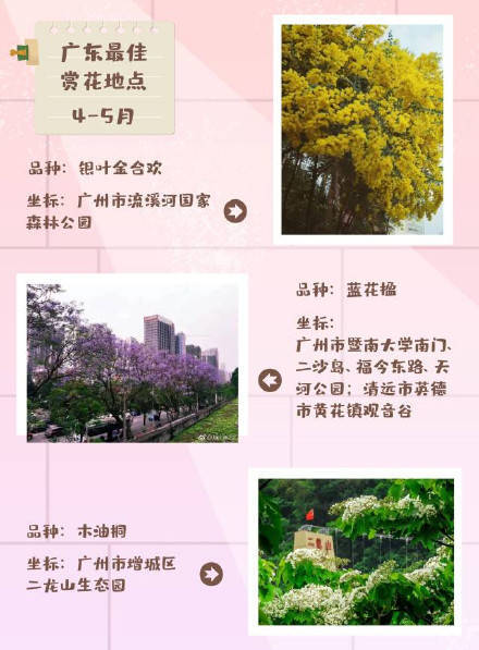 广东|怎样打卡广东春季花海？收好这份时间表