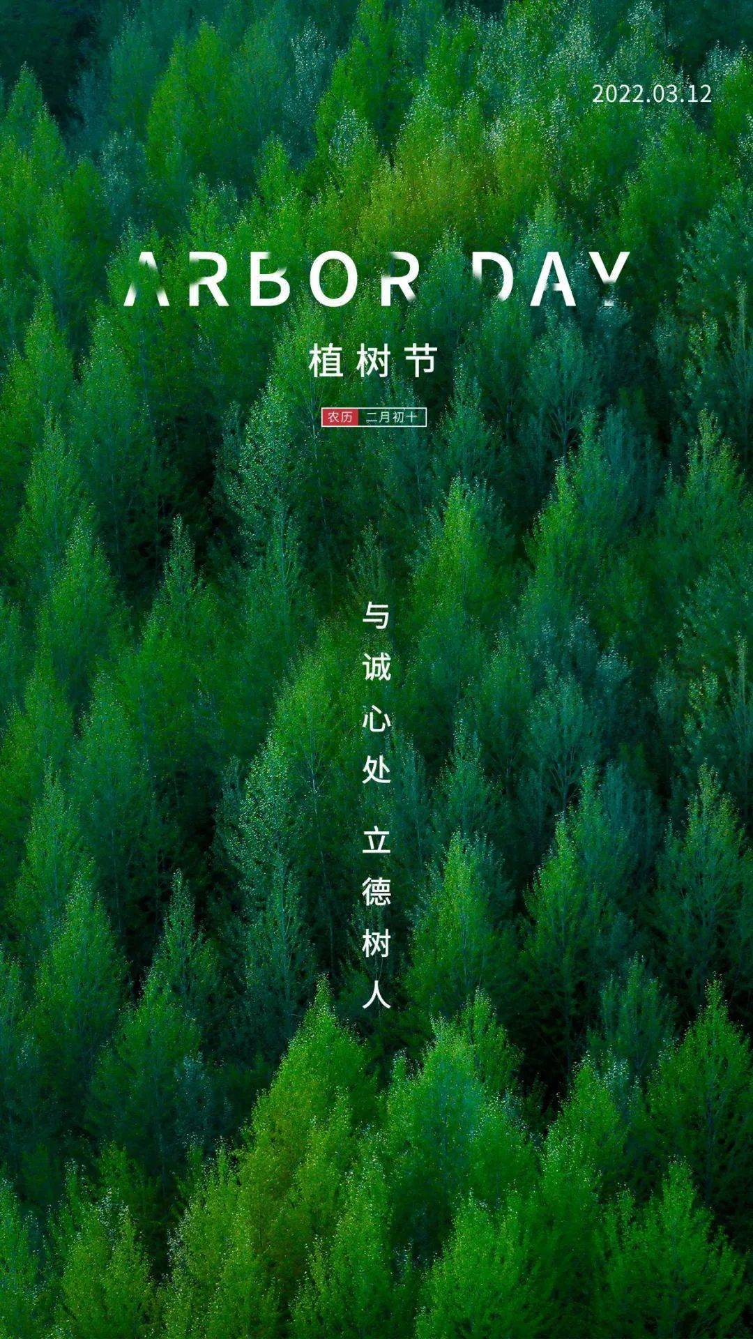 12植树节|送你一片绿荫_去撒_中国_树都