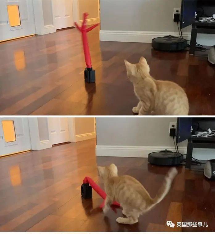 分之一网友分享脑洞大开的奇怪物件儿，看完都想马上拥有啊！