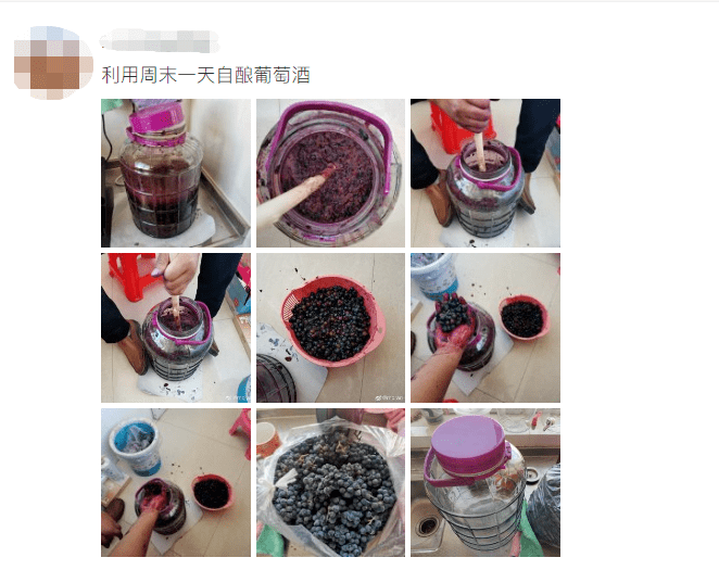 白霜|不要模仿！把两颗葡萄一起放进微波炉 ，能烧得你家都没了