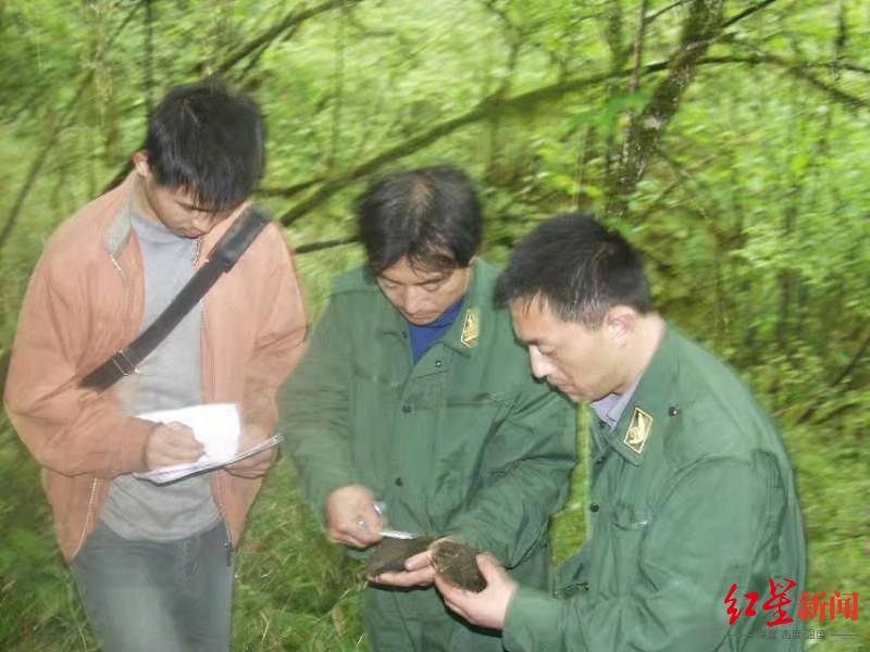 团队|我与熊猫之都|巡山“追”熊猫30年，他和团队获国际巡护员奖