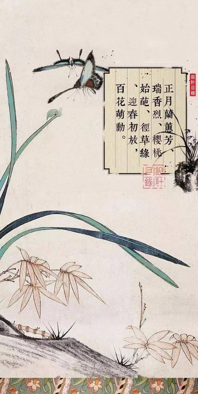 12个月 12朵花 你几月出生 你是哪一朵花 美爆了 性格 杏花 梅花雪