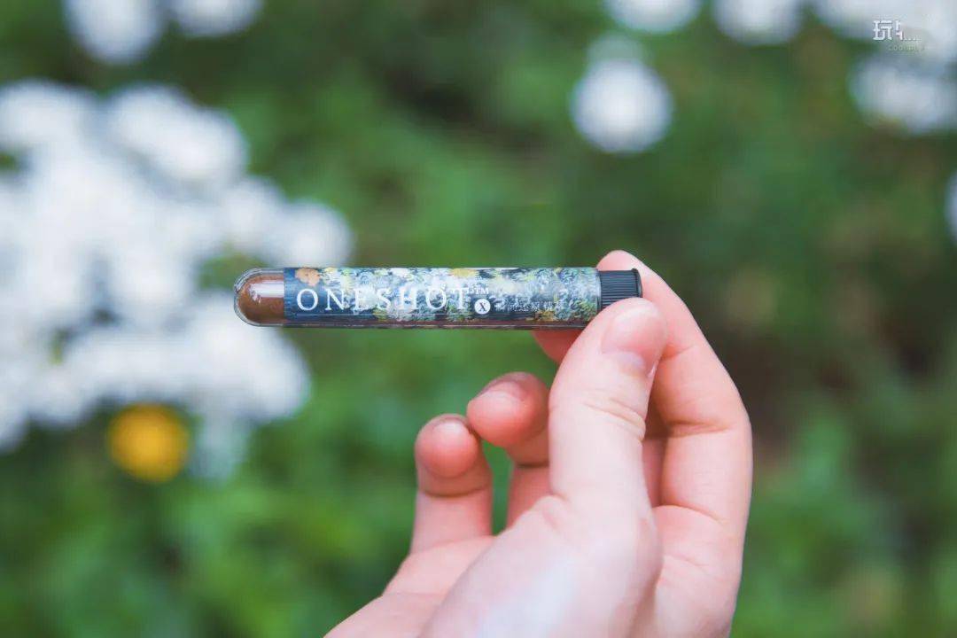 实用又好玩，这 10 个幸福感爆棚的好物，越用越惊艳