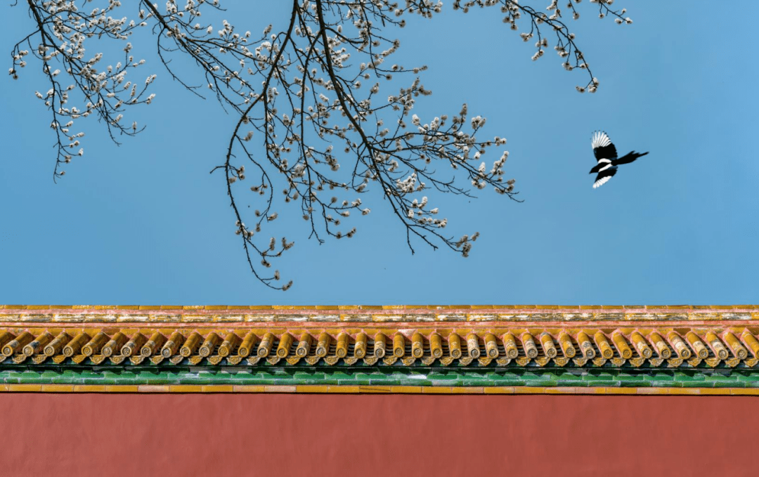 春天最美的100条朋友圈 黄浩 生活 赏析