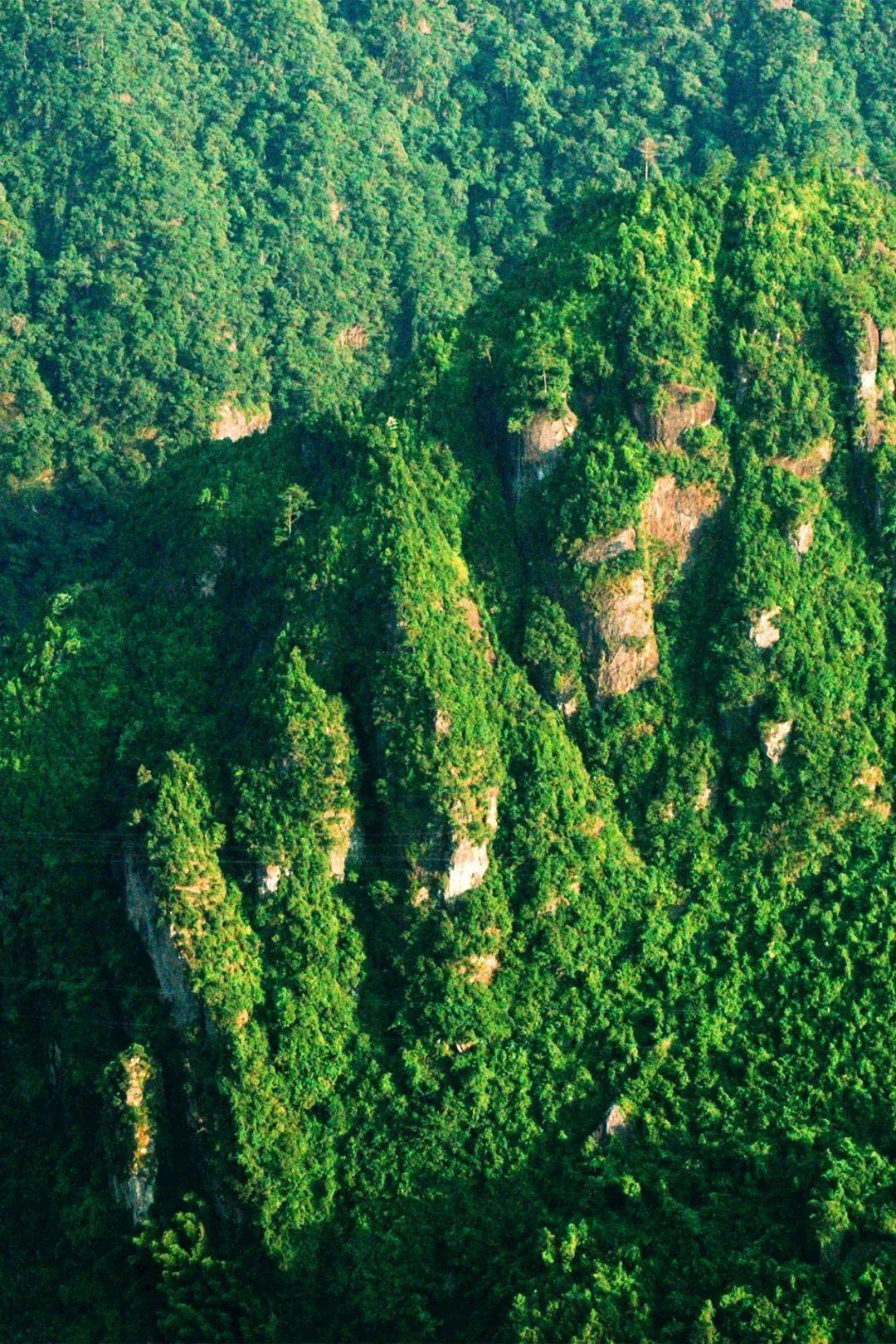 天星山国家森林公园天星山国家森林公园内峰峦绵亘,林木蓊郁,密布中亚