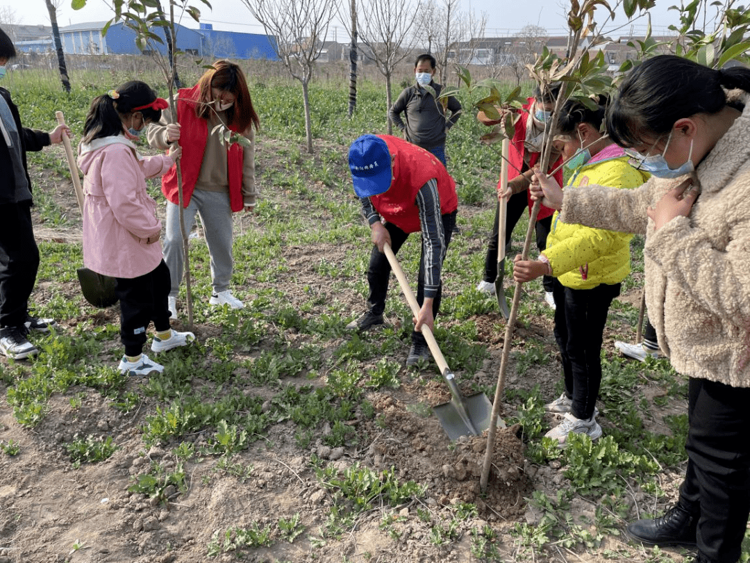 新坍镇新坍子社区开展春风十里正植有你植树节活动