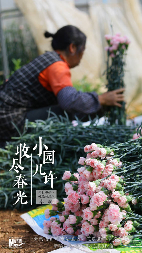 王亚婧春景系列海报：人勤春来早，花径暗香流