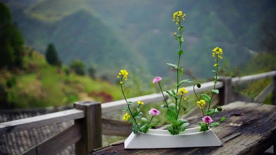 做人越简单,生活就越宁静.