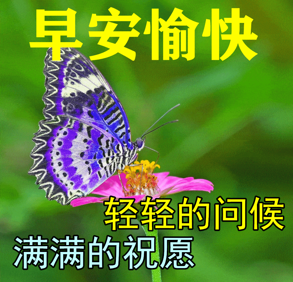 3月14日早上好祝福语图片大全问候动态表情图片大全