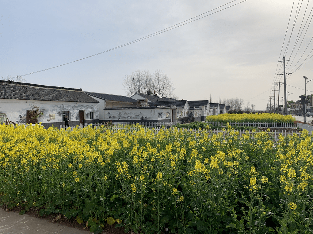 乡村振兴汊涧镇多措并举做好美丽乡村长效管理维护工作