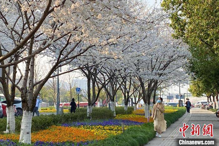 杭州:天气晴好 民众尽享“好春光”