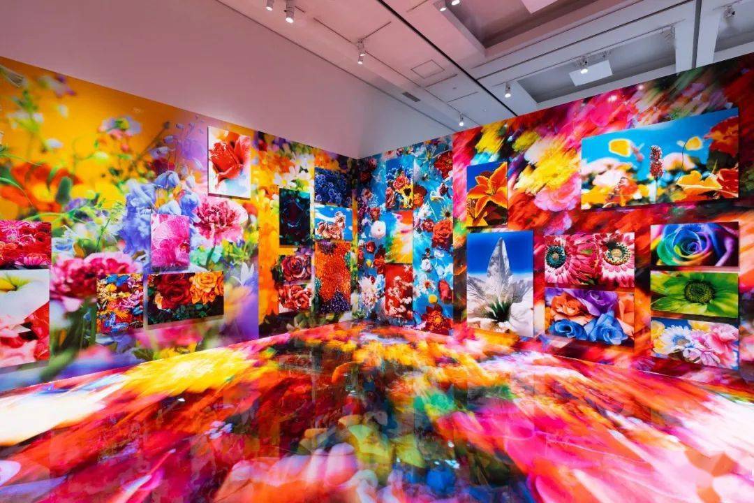 预售倒计时春日必看蜷川实花北京首次重磅大展