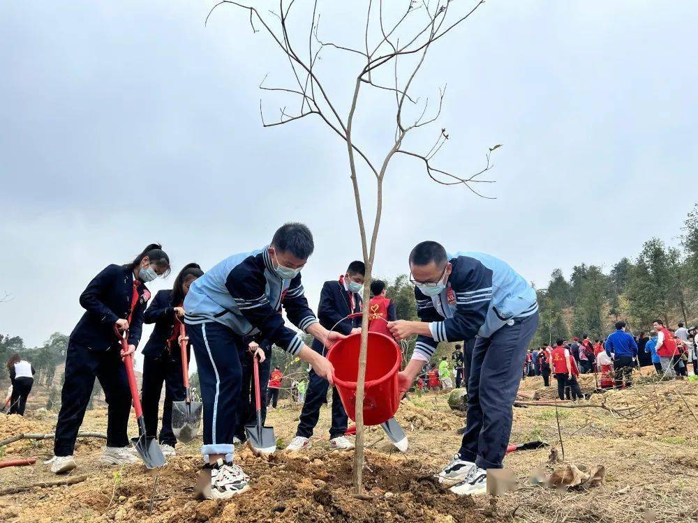 南宁市各级少先队组织开展2022年植树节主题系列活动