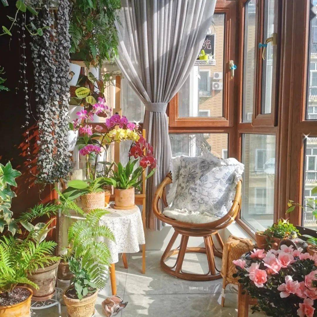 家园环境美迎亚运促共富做最美女主人美丽阳台扮靓比拼行动报名开始啦