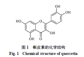 槲皮素及其糖苷衍生物抗抑郁作用及其机制的研究进展