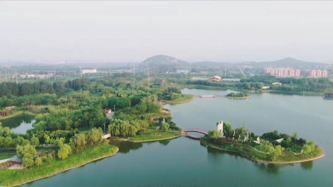 花开河北莫负春光省会龙泉湖湿地公园梅景正当时