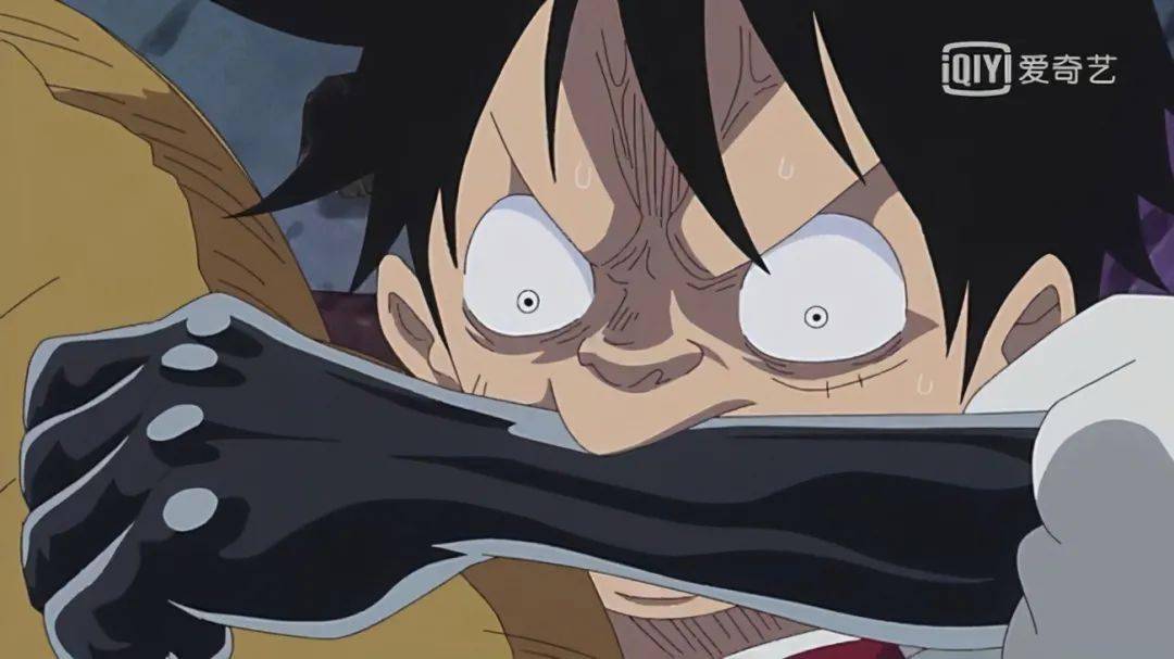 讨论乔伊波伊的身份,真身可能就是橡胶果实?_路飞_王国_因为