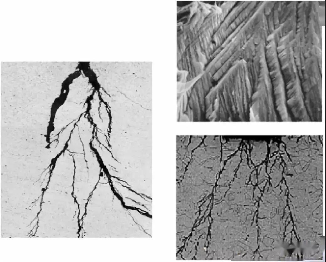 穿晶断裂图3应力腐蚀影响因素应力腐蚀影响因素——环境,电化学,力学