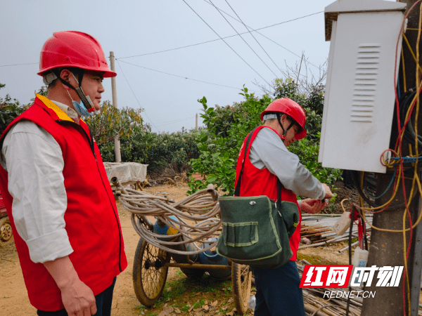 公司|国网祁阳市供电公司：电力助农种出“莓”好“钱”程