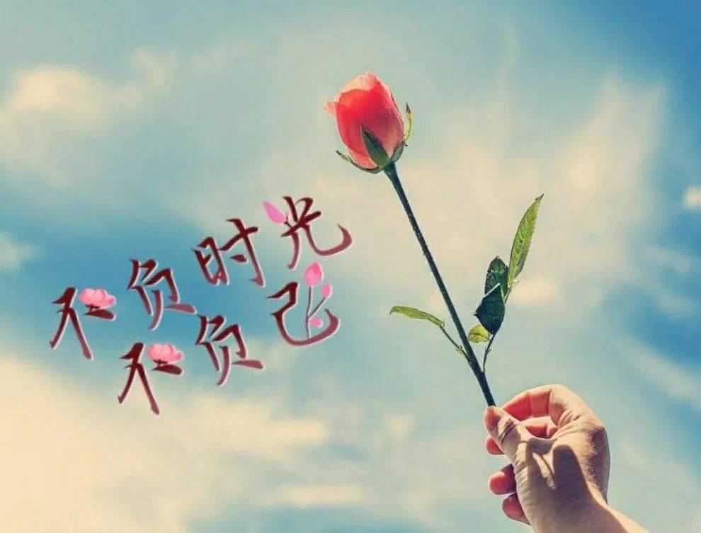 好事正酿,万物复苏,愿时光不负所有努力,生活多一些明媚灿烂,早安!