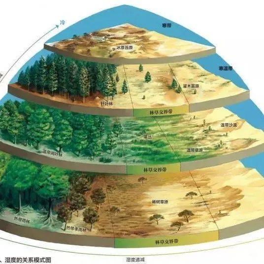地理视角看林线!为什么同纬度情况下,降水量少的地区林线的高度较高_影响_山地_界线
