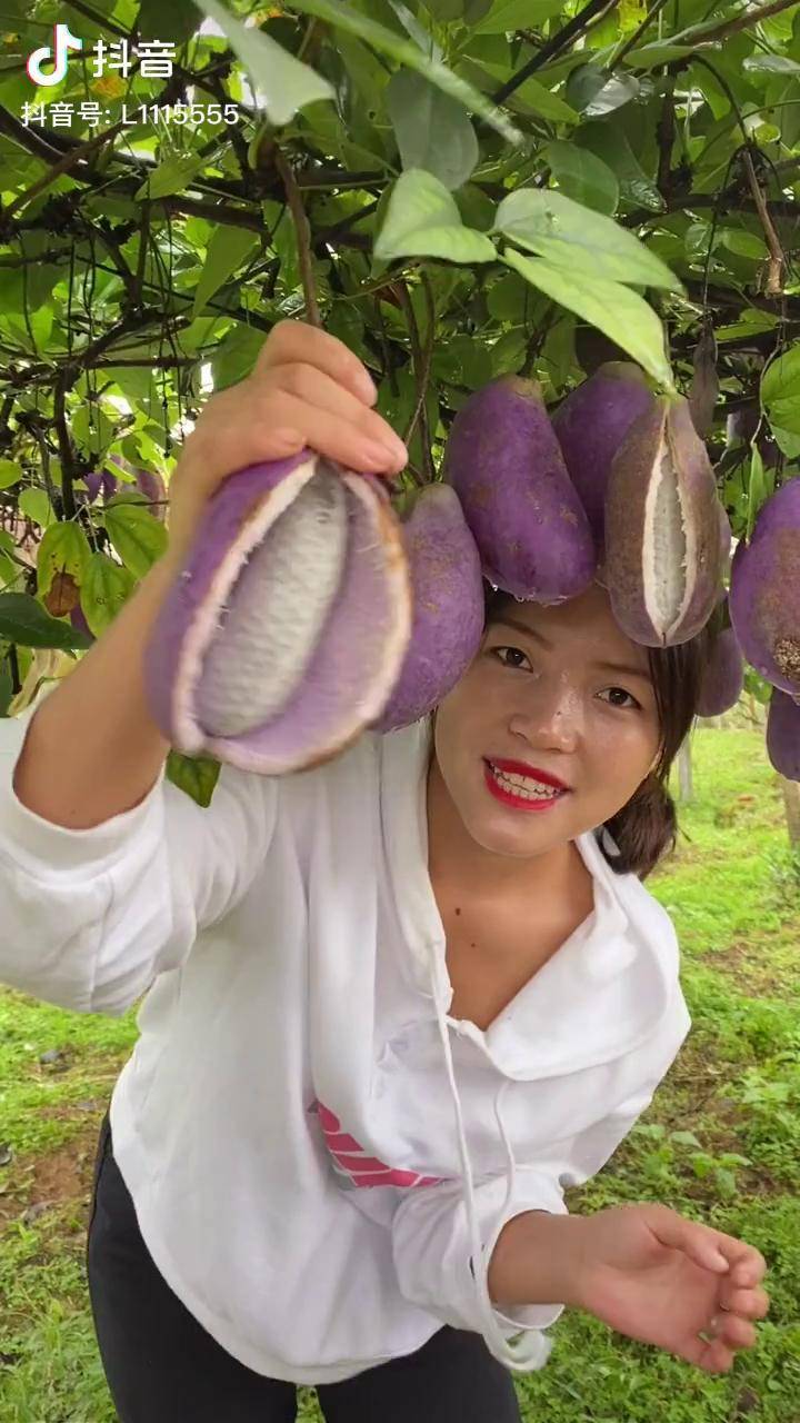这东西我们叫八月瓜