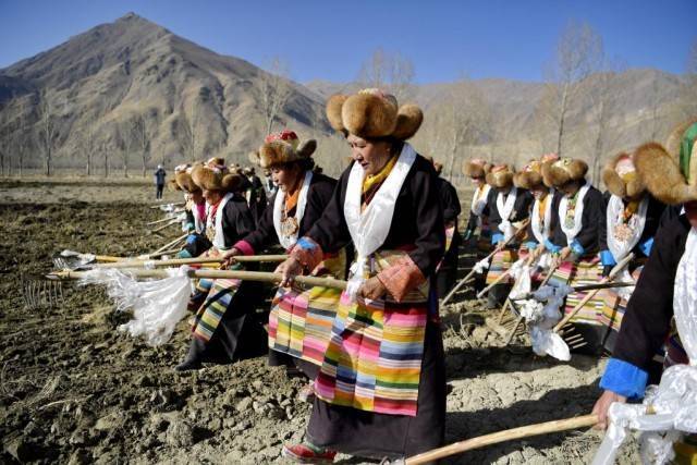 多吉|古老仪式奏响高原春天赞歌——记西藏“第一块农田”上的春耕典礼