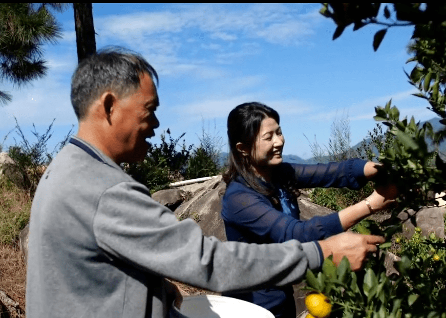 东张镇三星村的青橙种植地地处饮用水源保护区范围内,青橙经山泉水