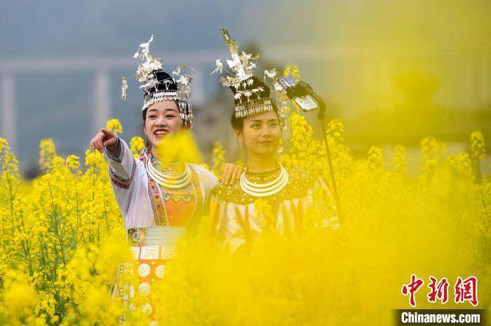 贵州|春暖花开 贵州山间田野尽带“黄金甲”