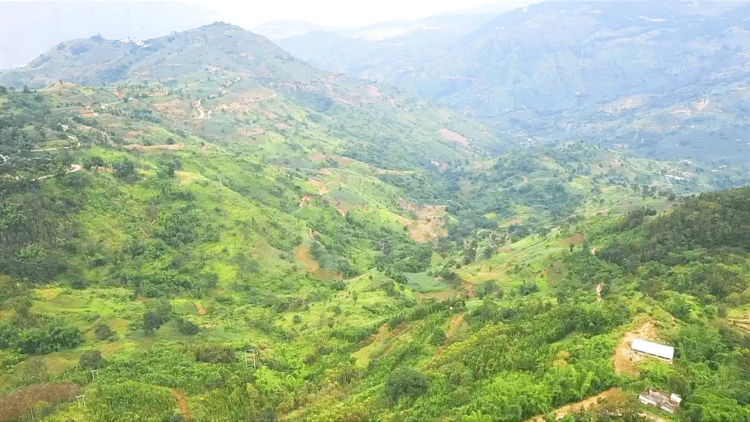 红河县浪堤镇热解垃圾试点绿化亮化显成效