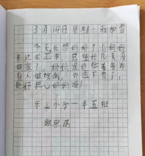 "3月14日,8岁的谢思诺用稚嫩的文字写下了这篇日记,奶奶周延辉看在